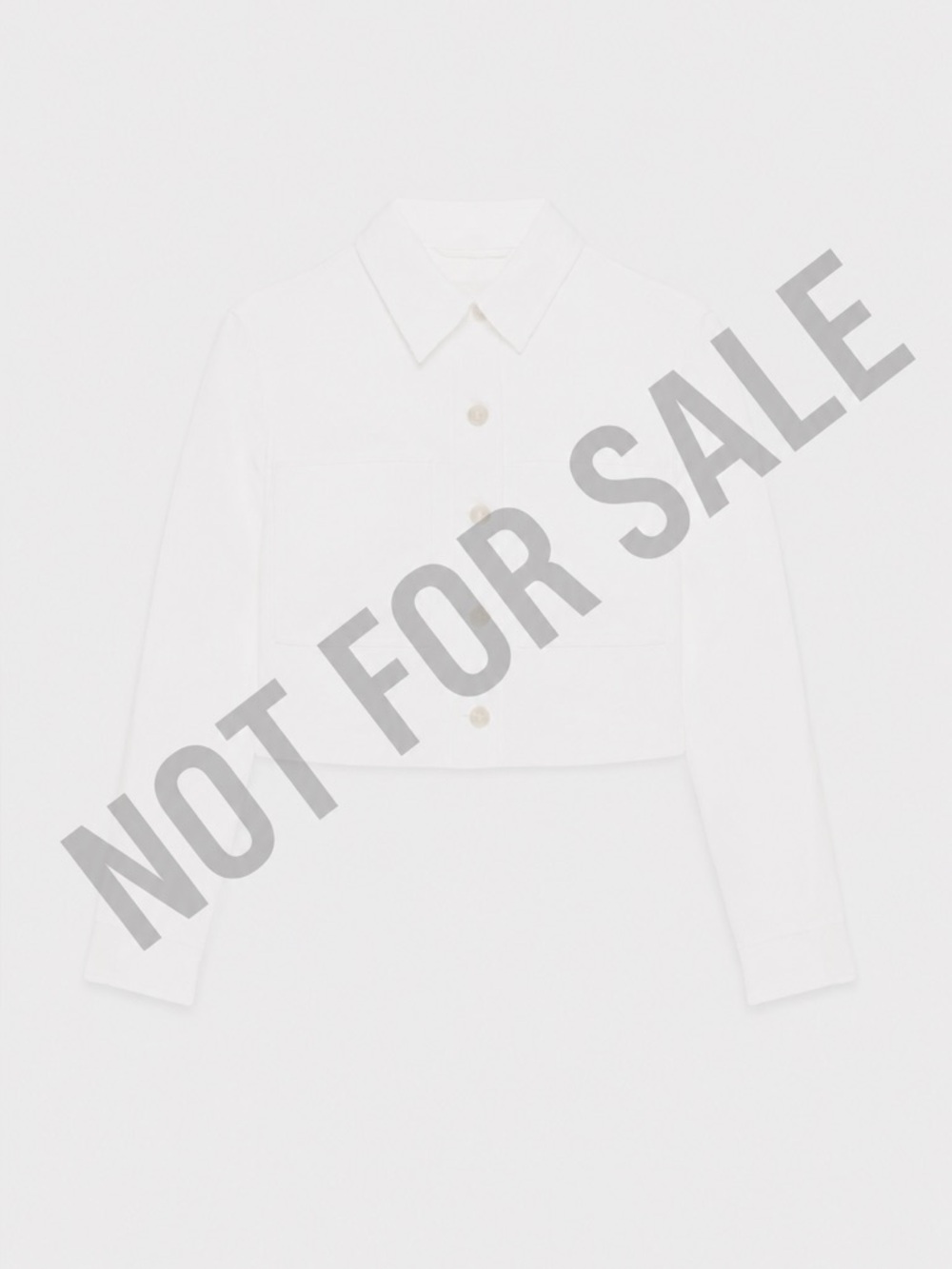 Aritzia Jacket - NOT FOR SALE